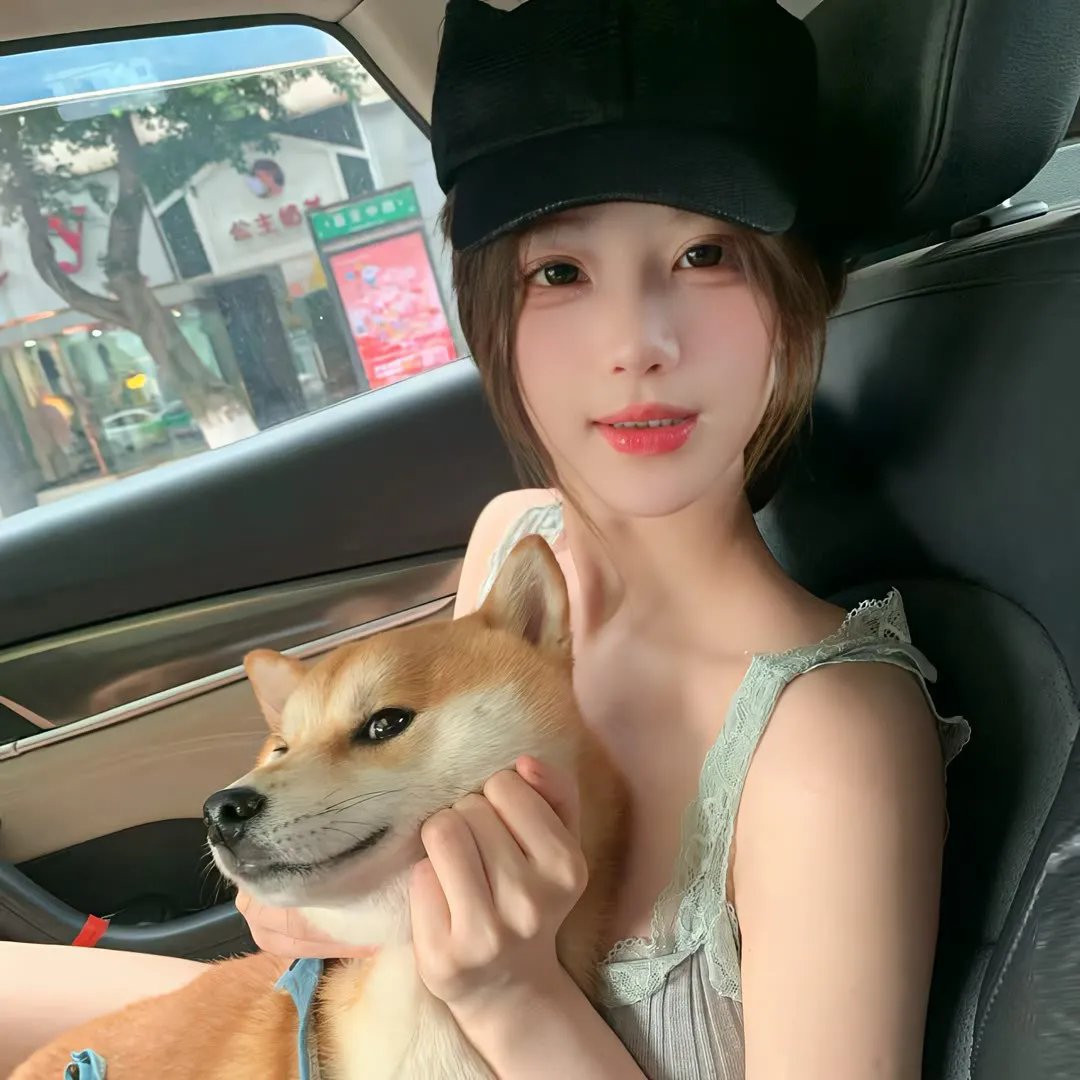 海龟奇妙之旅