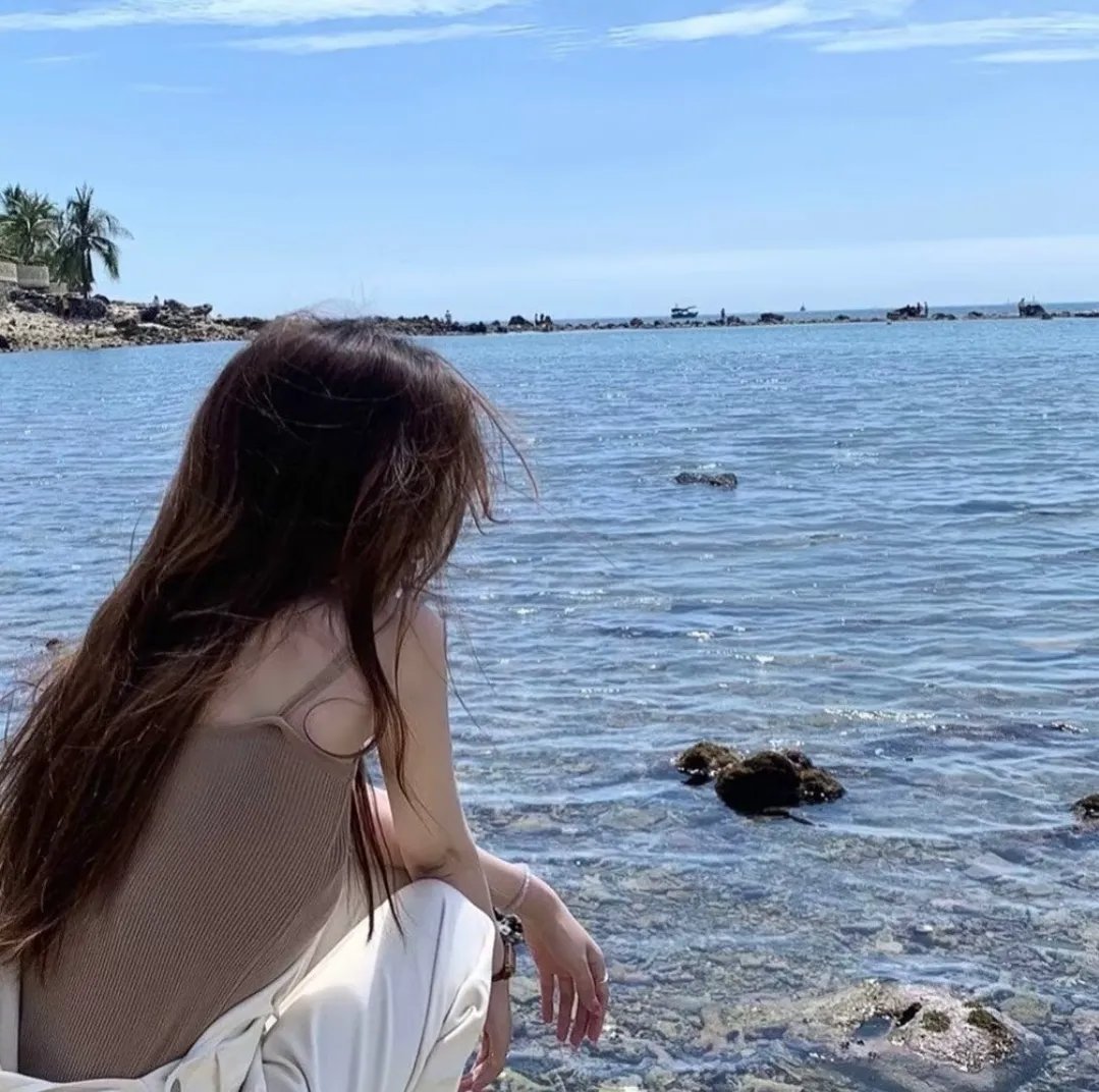 对战美洲狮